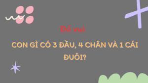 Con gì có 3 đầu, 4 chân và 1 cái đuôi?