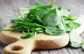 Rau mồng tơi thanh mát ngày hè nhưng khi ăn cần lưu ý những điều này