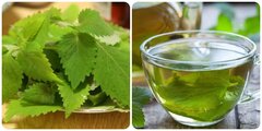 Uống nước lá kinh giới có tốt cho sức khoẻ?