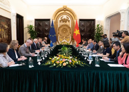 Đại diện EU coi trọng, mong muốn xúc tiến nâng cấp quan hệ đối tác với Việt Nam 