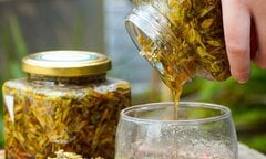 Uống hoa đu đủ ngâm mật ong suốt 2 năm, men gan tăng hơn 1.000 lần