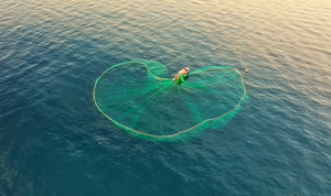 Mê mẩn mẻ lưới vẽ ‘trái tim của biển’ ở đảo Hòn Yến, Phú Yên