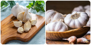 Những người nên hạn chế ăn tỏi