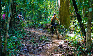 Chinh phục thiên nhiên hoang sơ đầy lôi cuốn tại rừng Mã Đà