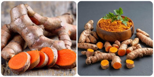 Những người nên hạn chế ăn nghệ