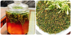 Những tác hại của hoa đu đủ đực nếu dùng sai cách