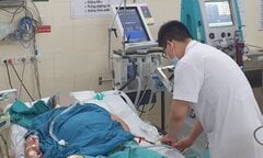 Sốt xuất huyết đến sớm hơn mọi năm, có ca nặng, tiên lượng tử vong 