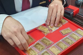 Lỗ trăm triệu đồng sau 1 năm vay vàng để mua nhà, xe