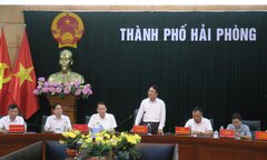 Hải Phòng: Chủ tịch quận, huyện chịu trách nhiệm nếu để sốt xuất huyết lan rộng