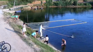 Hoảng hồn cảnh 3 đứa trẻ rơi xuống ao được người dân dùng cần câu giải cứu