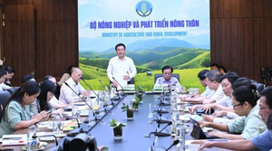 Đề xuất thành lập Hội đồng lúa gạo quốc gia