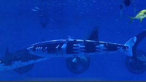 Robot cá mập voi nặng 350 kg dài 5 m bơi lội tung tăng