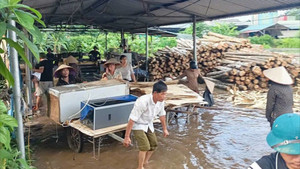 Nhà dân, xưởng gỗ thiệt hại do thủy điện Thác Bà xả lũ