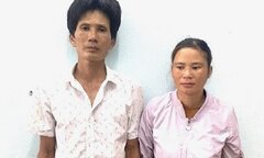 Trộm gà bị công an rượt đuổi, chồng bỏ lại vợ rồi chạy vào rừng keo lẩn trốn