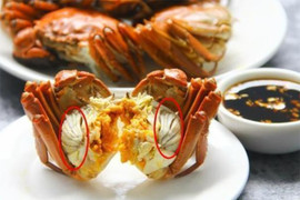 4 bộ phận của cua biển bạn không nên ăn