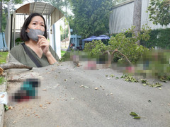 TP.HCM: Nhân chứng kể cảnh cành cây rơi đè chết người ở công viên Tao Đàn
