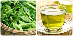 Uống trà xanh tươi mỗi ngày có tốt cho sức khoẻ?