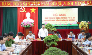 Hà Nội: Huyện Thường Tín phấn đấu về đích nông thôn mới nâng cao