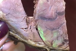 Thịt bò óng ánh màu cầu vồng có thực sự nguy hiểm?