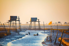 Trốn khỏi phố thị nhộn nhịp, tìm về bãi biển Đồng Châu hoang sơ