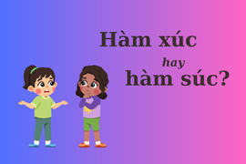 Thử thách Tiếng Việt: 'Hàm xúc' hay 'hàm súc'? 
