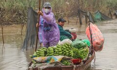 Nước lũ dâng cao, nông dân bãi giữa sông Hồng chèo thuyền mang nông sản đi bán