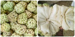 Quả na có tác dụng gì?