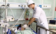 Sốc phản vệ nguy kịch sau khi bị ong bắp cày đốt