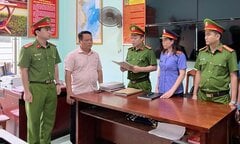 Trốn thuế gần 1,2 tỷ đồng, giám đốc doanh nghiệp ở Quảng Bình bị bắt