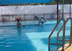 Phẫn nộ hình ảnh người đàn ông dúi đầu bé trai xuống bể bơi ở Hà Nội