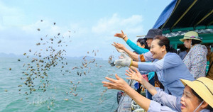 Phóng sinh thế nào là đúng cách?