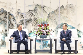 Tổng Bí thư Tô Lâm đề nghị tỉnh Quảng Đông tăng hợp tác với địa phương Việt Nam