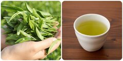 Các bài thuốc chữa bệnh từ lá chè xanh