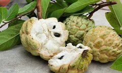 Trong quả na có thứ cực độc, ai cũng nên biết để tránh ăn phải