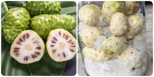 Các bài thuốc chữa bệnh từ quả nhàu