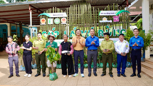 Hành trình phục hồi 18.000 cây xanh, phủ lấp 27 hecta rừng của Vietnam Airlines