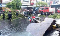Cây xanh bật gốc trong mưa giông, một người bị thương