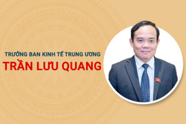  Infographic: Sự nghiệp tân Trưởng Ban kinh tế Trung ương Trần Lưu Quang