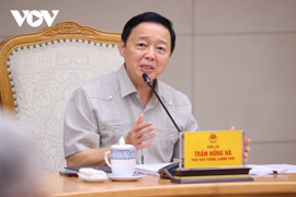 'Thị trường carbon Việt Nam sẽ có sức hút rất lớn đối với các nhà đầu tư'