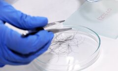 Phát hiện con trai khác nhóm máu, người đàn ông lập tức lấy tóc xét nghiệm ADN