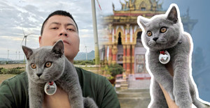 Chú mèo sướng nhất Việt Nam, ngao du cùng chủ qua 19 tỉnh thành