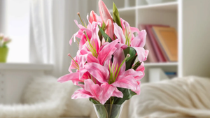 Hoa ly hồng có ý nghĩa gì?