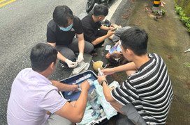 Đang đi du lịch, nhóm nhân viên y tế ứng cứu người bị tai nạn giữa đèo