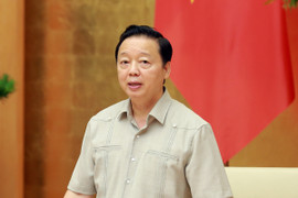 Phó Thủ tướng: Rà soát các dự án điện mặt trời, chuyển sang cơ quan điều tra