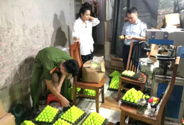 Tạm giữ 33.500 quả bóng golf giả mạo nhãn hiệu