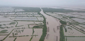 Thái Bình xác lập ranh giới Khu bảo tồn thiên nhiên đất ngập nước Tiền Hải