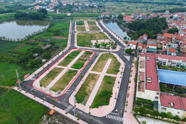 Vì sao đất đấu giá thu hút nhiều nhà đầu tư với giá trúng cao bất thường?