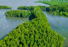 Đến Bình Định khám phá đầm Thị Nại