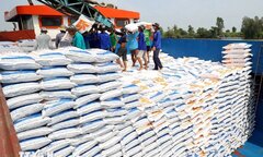 Giá gạo xuất khẩu chạm mức cao nhất trong gần ba tháng