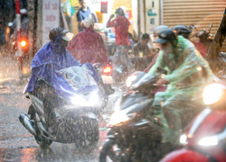 Chuyên gia: Bão Yagi tiến nhanh về đất liền, miền Bắc mưa to gió lớn